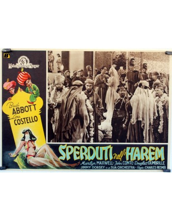 Lost in a Harem