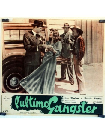 THE LAST GANGSTER