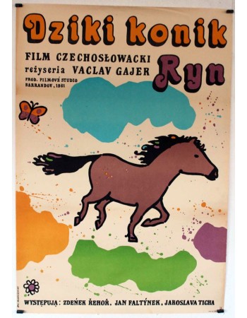 Divoký koník Ryn