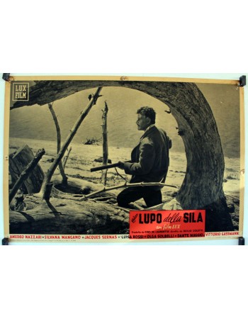 IL LUPO DELLA SILA