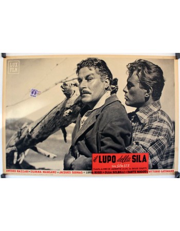IL LUPO DELLA SILA