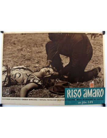 ARROZ AMARGO