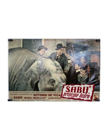 Buongiorno, elefante!