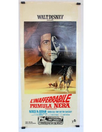 LINAFFERRABILE PRIMULA NERA