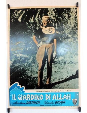 THE GARDEN OF ALLAH