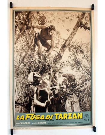 TARZAN ESCAPES