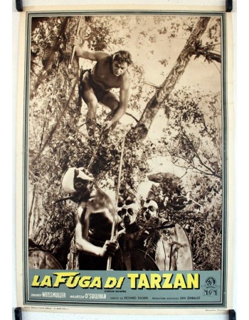 TARZAN ESCAPES