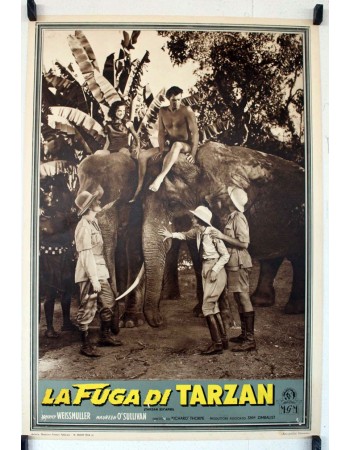 TARZAN ESCAPES