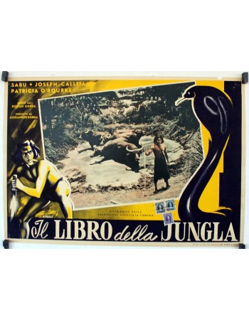 THE JUNGLE BOOK