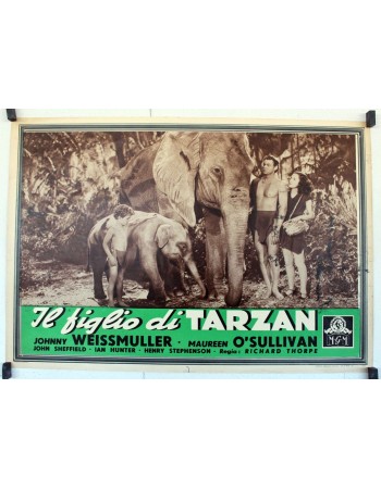 TARZAN FINDS A SON
