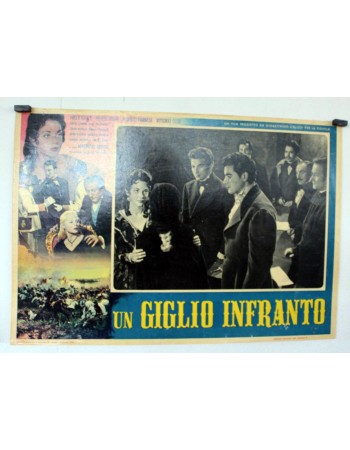 UN GIGLIO INFRANTO