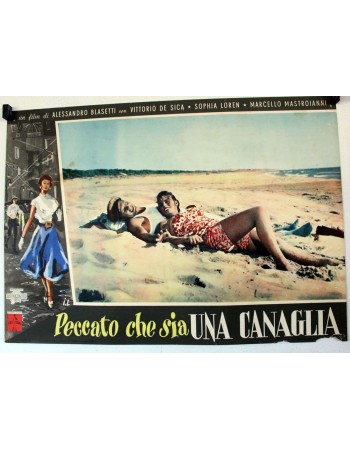 PECCATO CHE SIA UNA CANAGLIA