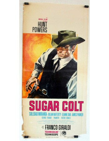 SUGAR COLT