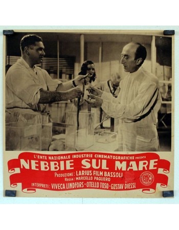 NEBBIE SUL MARE