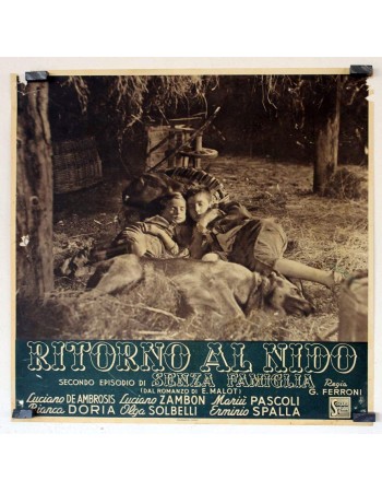 RITORNO AL NIDO