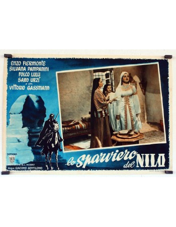 LO SPARVIERO DEL NILO