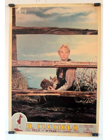 THE YEARLING