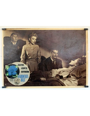 THE BLUE GARDENIA
