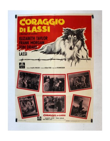 COURAGE OF LASSIE