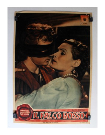 IL FALCO ROSSO