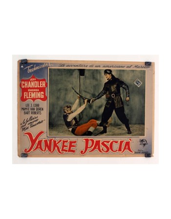 YANKEE PASHA