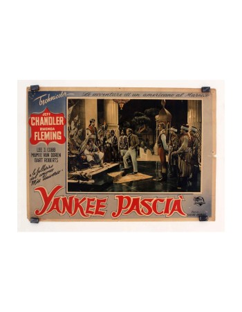YANKEE PASHA