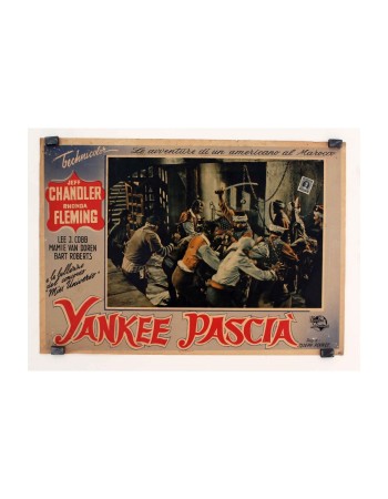 YANKEE PASHA