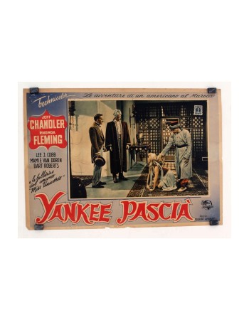 YANKEE PASHA