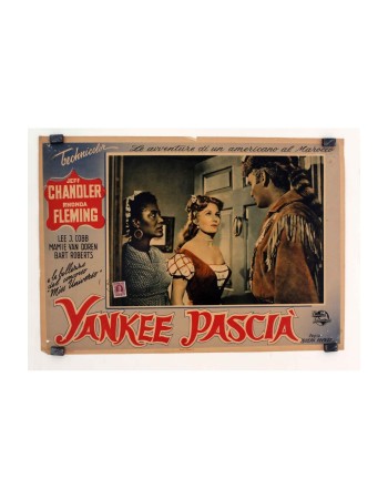 YANKEE PASHA