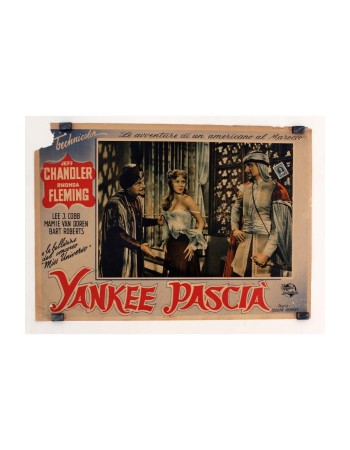 YANKEE PASHA