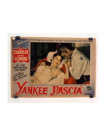 YANKEE PASHA