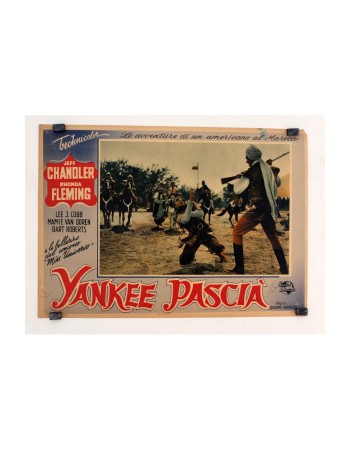 YANKEE PASHA