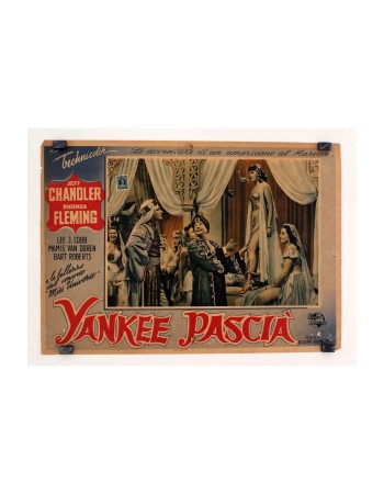 YANKEE PASHA