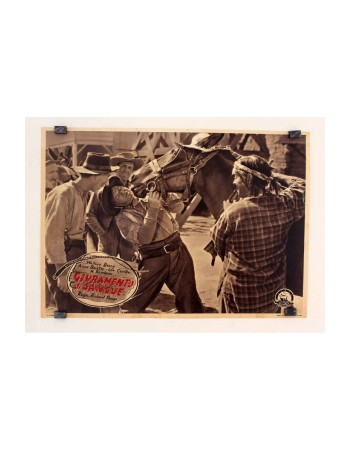 20 MULE TEAM