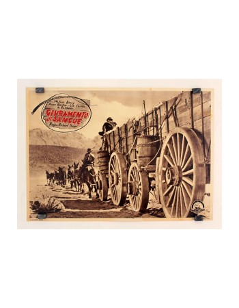 20 MULE TEAM