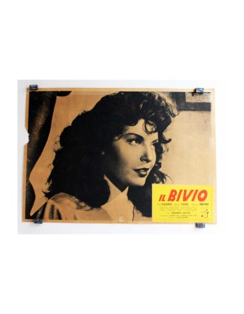 IL BIVIO