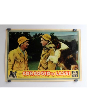 COURAGE OF LASSIE RES