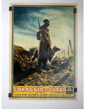 COURAGE OF LASSIE RES