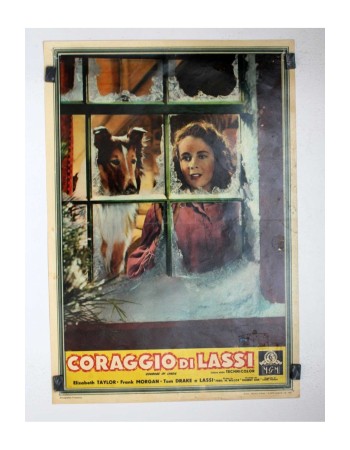 COURAGE OF LASSIE RES