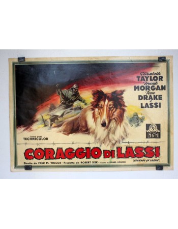COURAGE OF LASSIE RES