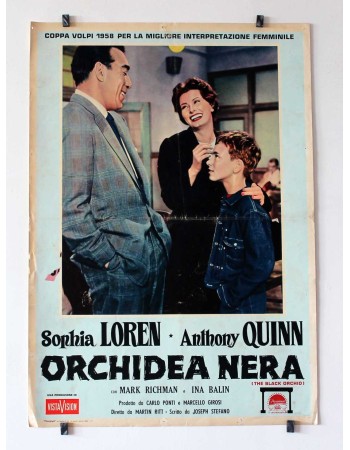 THE BLACK ORCHID