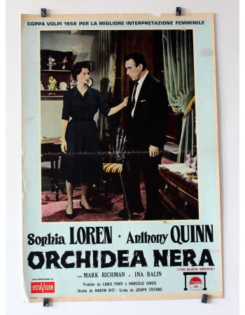 THE BLACK ORCHID