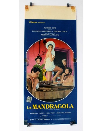 La mandragola