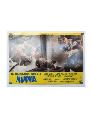 The Mummy's Shroud