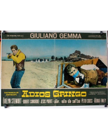 ADIOS GRINGO