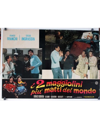 I due maggiolini più matti del mondo