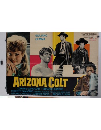ARIZONA COLT