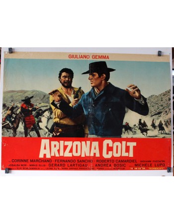 ARIZONA COLT