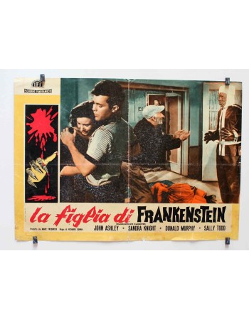 Frankenstein's Daughter