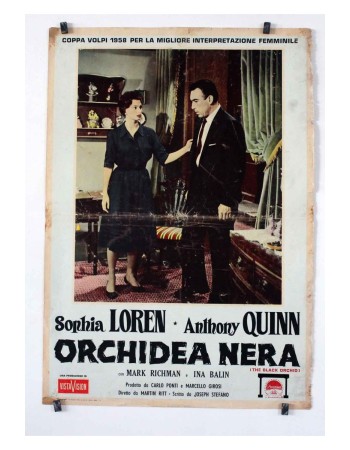 THE BLACK ORCHID